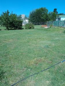 Naturlandskabet i nærheden af lejligheden