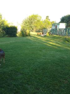 En have udenfor Casa lo de norma