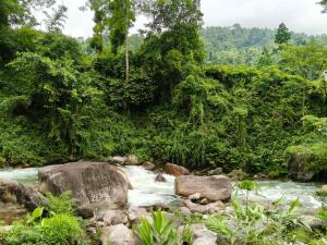 Un paisaje natural cerca de la habitación en casa particular