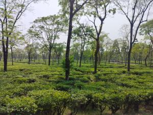 Un paisaje natural cerca de la habitación en casa particular