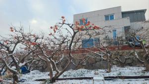 Antonio's Farm trong mùa đông +1 ảnh