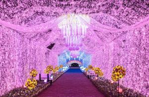 Φωτογραφία από το άλμπουμ του Gotemba Kogen Tokinosumika σε Gotemba +64 φωτογραφίες