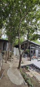 una persona sentada en un banco bajo un árbol en La Lune's Koh Tao, en Ko Tao