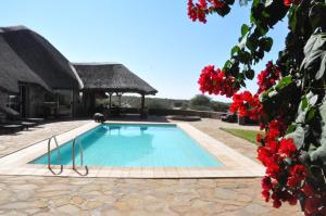 a swimming pool in front of a house with a thatch roof at Outeniqua Guest Farm in Okahandja