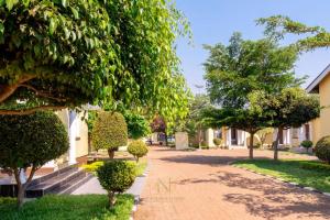 Κήπος έξω από το New Dawn Lodge