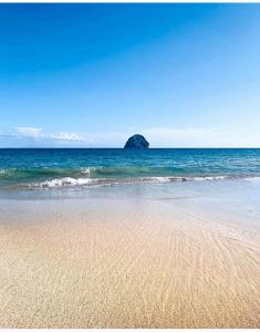 Φυσικό τοπίο κοντά σε αυτό το δωμάτιο σε οικογενειακή κατοικία +13 φωτογραφίες