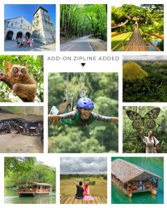 Billede fra billedgalleriet på Van Rental COUNTRYSIDE TOUR IN BOHOL i Tagbilaran