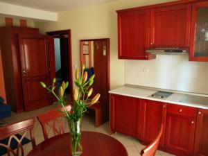 Kuchyň nebo kuchyňský kout v ubytování Apartments Vila Kristina