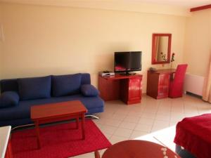 TV a/nebo společenská místnost v ubytování Apartments Vila Kristina