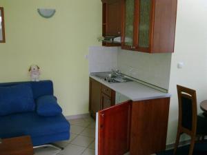 Kuchyň nebo kuchyňský kout v ubytování Apartments Vila Kristina