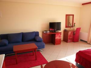 TV a/nebo společenská místnost v ubytování Apartments Vila Kristina