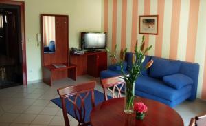 TV a/nebo společenská místnost v ubytování Apartments Vila Kristina