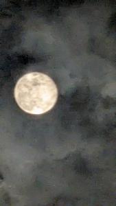 Fotografie z fotogalerie ubytování New aashiyana cottage Matheran v destinaci Matheran