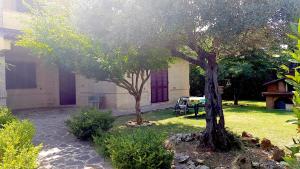 Un jardín fuera de Recanati Family