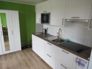 Kuchyňa alebo kuchynka v ubytovaní Apartmán Stožec Ema