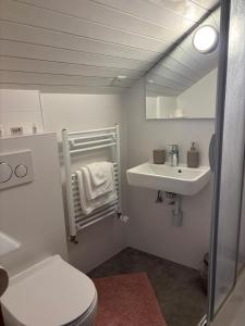 a small bathroom with a toilet and a sink at Le Point du jour in Saint-Cergue +30 photos