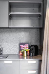 TurnerにあるImmaculate Braddon Studio with Accessible Bathroomのキッチンカウンター(トースター、箱付)