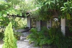 Κήπος έξω από το Tuli Orchid