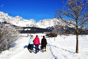 Alpking Hostel v zime