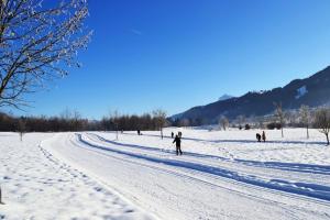 Alpking Hostel v zime