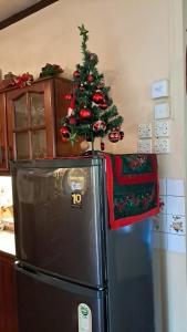 Un pequeño árbol de Navidad encima de un refrigerador en 19 St Stephen's, en Sri Jayewardenepura Kotte