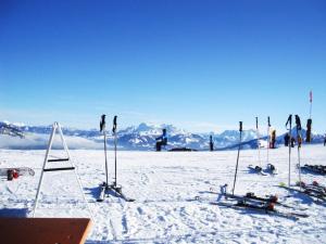 Alpking Hostel v zime