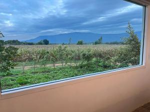 Příroda nedaleko prázdninového domu