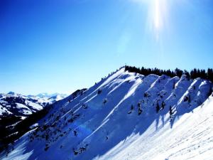Alpking Hostel v zime