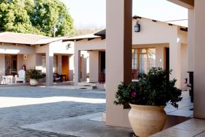 a courtyard of a house with potted plants at Welgerust Bed & Breakfast in Piet Retief