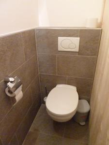 a bathroom with a toilet and a toilet paper dispenser at Alpking Hostel in Ellmau