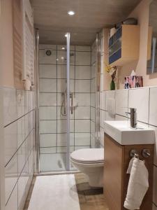 a bathroom with a shower and a toilet and a sink at Apartment Altenhof in Altenhof