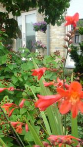 Zahrada ubytování B&B De Watering
