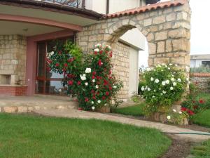 Morski Briz Houses في توبولا: حوش من الزهور أمام المنزل