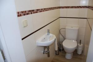 Kúpeľňa v ubytovaní Apartment Ptačí Dům