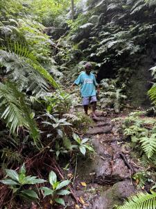 um homem caminhando em uma trilha na selva em Tanna fireworks homestay em Loméméti