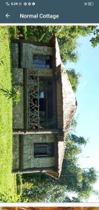 NongpohBamaeri Royal Resort的一张树上建筑物的照片