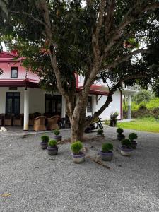 Φωτογραφία από το άλμπουμ του Nomad's Peak Hiriketiya σε Dikwella