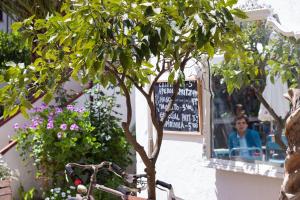 Hosté ubytování Hostal l'Estrella