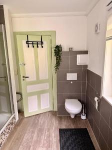 a bathroom with a toilet and a green door at Haus Harald in Tysnes +40 photos