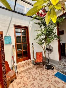 Κήπος έξω από το Casa Sophia by Kayana