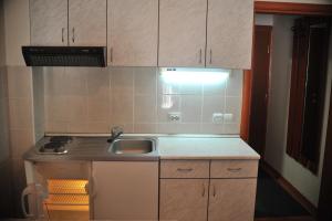 cocina con fregadero y encimera en Apartment Sunny Hill Zlatibor en Zlatibor