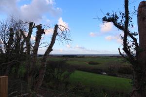 a view of a field from a tree at Galactic getaways PLUTO in Prestatyn