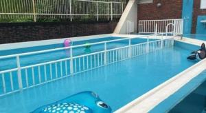 una piscina vacía con un delfín pintado en ella en Breezbay Seaside Resort Atami, en Atami 43 fotos más