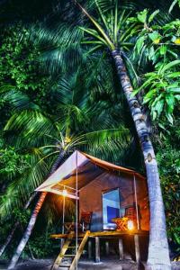 ウダワラウェにあるMakulu Safari Campingの椰子の木の下に座る小さなテント