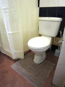 ein Bad mit einem WC und einem Duschvorhang in der Unterkunft Bethel Rest Homestay in Kandy