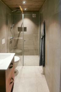 a bathroom with a shower and a toilet and a sink at Mountain Cabin With Panoramic Views In Oppdal in Gorset +25 photos