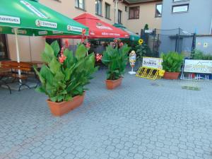 Fotografie z fotogalerie ubytování Hotel Isora v Ostravě