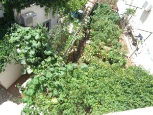Vonkajšia záhrada v ubytovaní Apartment Šimeto