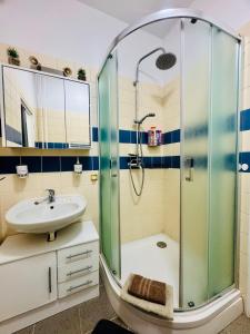 Ένα μπάνιο στο Studio u ZOO