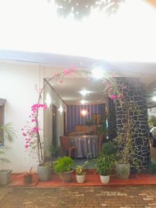 O grădină în afara NK Hotel & Resturaunt